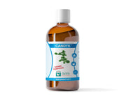 81fda6223de4936a8830b590c123f883