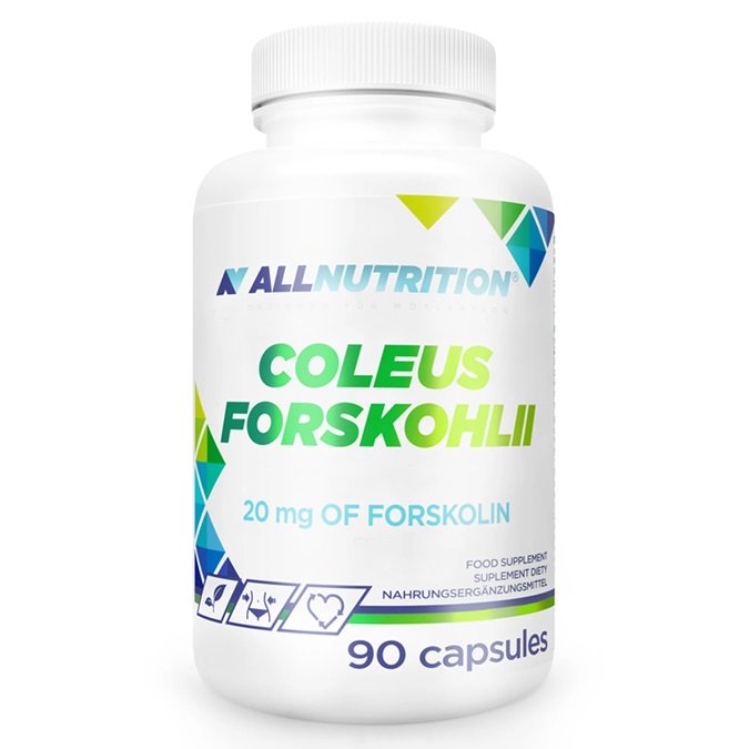 Maisto papildas Coleus Forskohlii kapsulės